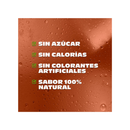 Té Negro Sabor Durazno Sin Azúcar Nature's Factory 485 ml