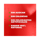 Té Blanco Sabor Arándano Sin Azúcar Nature's Factory 485 ml